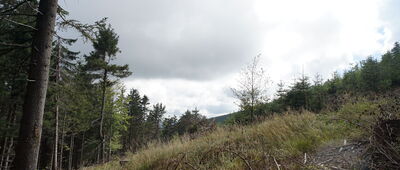 Skrzyżowanie pod Wielką Sową ↔ Wielka Sowa