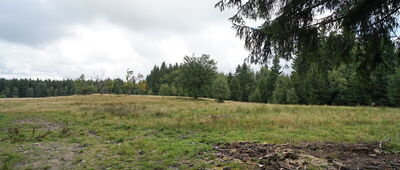 Polana Potoczkowa ↔ Skrzyżowanie pod Wielką Sową