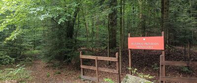 Rezerwat Świnia Góra