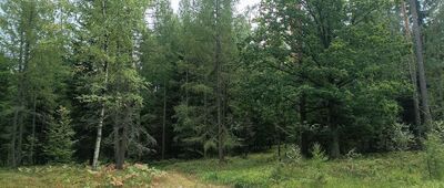 Rezerwat Dalejów, odejście Piekielnego Szlaku