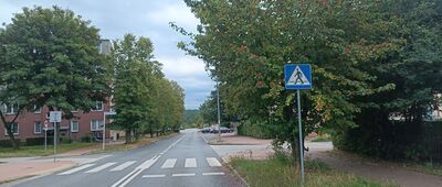 Skarżysko-Kamienna ↔ Skarżysko-Kamienna, Aleja Niepodległości