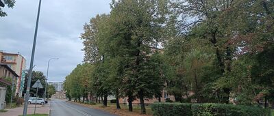 Skarżysko-Kamienna, Aleja Niepodległości