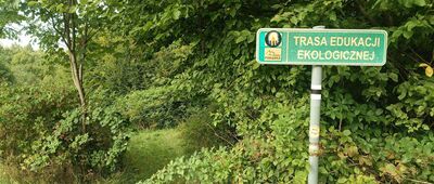 Dojście do zamku Wołek