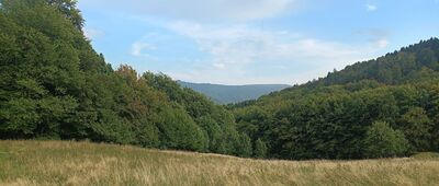 Dojście do zamku Wołek ↔ Kobiernice, Wołek