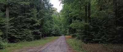 Leśniczówka Świnia Góra