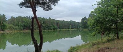 Skarżysko-Kamienna, Muzeum im. Orła Białego ↔ Zalew Rejowski