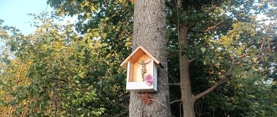 Pod Bujakowską Górą