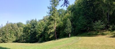 Kretówki ↔ Rozejście szlaków [Czerwony szlak]