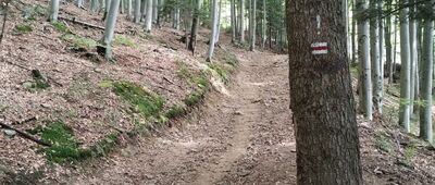 Schronisko Cyrla ↔ Zadnie Góry [Widok czerwonego szlaku]