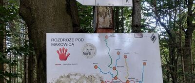 Zadnie Góry [Rozdroże pod Makowicą]