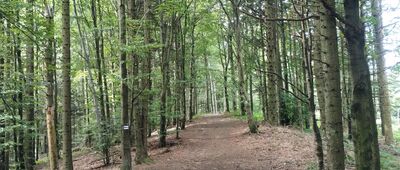 Zadnie Góry [Niebieskie szlak]