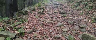 Rozejście szlaków ↔ Podmakowica [Kamieniste zejście z Makowicy]