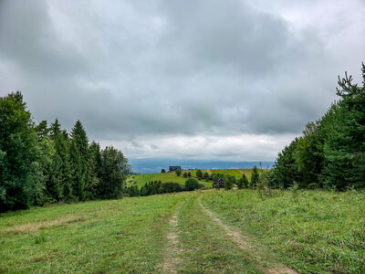 Kalotów Wierch 781 m n.p.m.