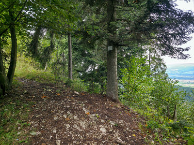 "Tabliczka szczytowa" Lós 882 m n.p.m.
