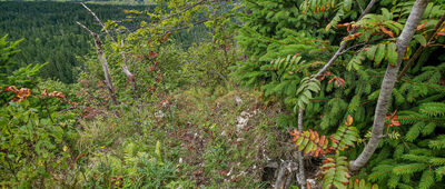 Dursztyn ↔ Żar (Branisko) [Schronisko w Żorze czyli Dziura Mutiego]