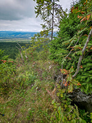 Schronisko w Żorze czyli Dziura Mutiego