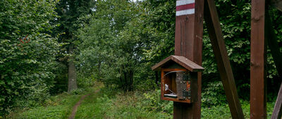 Żar (Branisko) [Żar 883 m n.p.m.]