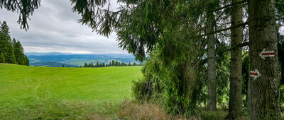 Żar (Branisko) ↔ Polana Wapienne [Polana Wapienne]