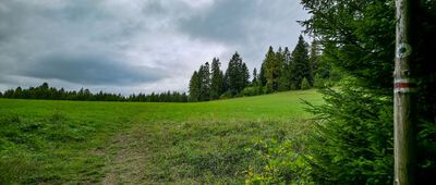 Polana Wapienne [Polana Wapienne]