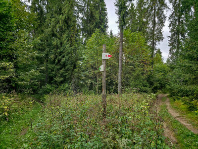 Rozejście szlaków pod Krempaszankową