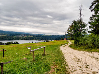 Widok na Jezioro Czorsztyńskie z czerwonego szlaku nad Niedzicą