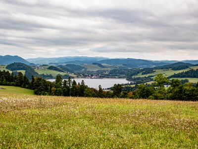 Widok na Jezioro Czorsztyńskie z czerwonego szlaku nad Niedzicą