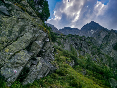 Mięgusze z czerwonego szlaku nad Czarny Staw nad Rysami