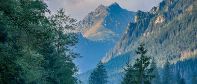 Palenica Białczańska [Palenica Białczańska - widok na Opalony Wierch]