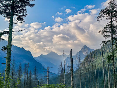 Tatry Wysokie z Drogi Oswalda Balzera