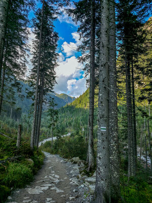 Zielony szlak w Dolinie Roztoki