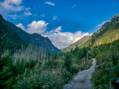 Zielony szlak w Dolinie Roztoki