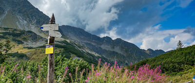 Schronisko PTTK w Dolinie Pięciu Stawów Polskich [Skrzyżowanie szlaków pod Schroniskiem PTTK w Dolinie Pięciu Stawów Polskich]