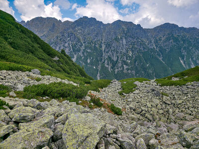 Masyw Wołoszyna z niebieskiego szlaku przez Świstówkę