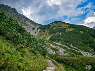 Widok na Opalone z niebieskiego szlaku przez Świstówkę