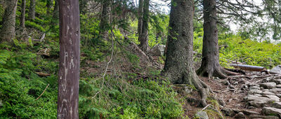 Odejście na Kępę [Odejście na Kępę]