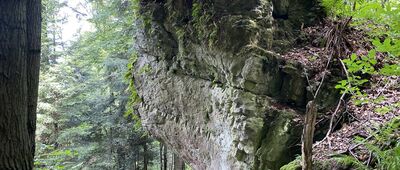 Diabelski Kamień w Stróży