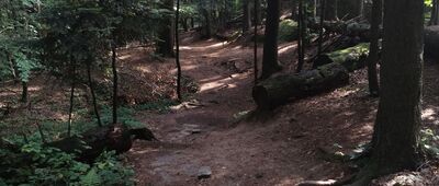 Czarnorzeki ↔ Prządki