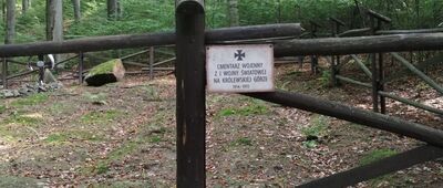 Królewska Góra ↔ Rzepnik