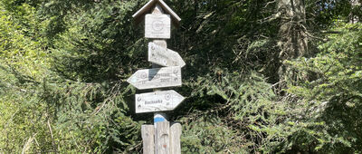 Wysowa, odejście szlaku niebieskiego ↔ Pod Obyczem