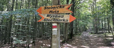 Odejście ścieżki spacerowej do cmentarza ↔ Pod Obyczem