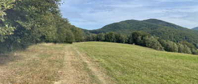 Sedlo Vyšný Tvarožec ↔ Przełęcz Wysowska