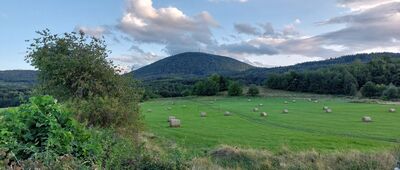 Lubomin ↔ Skrzyżowanie szlaków żółty / czarny