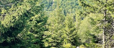 Pod Malinowską Skałą ↔ Zielony Kopiec