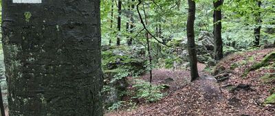 Jaskinia Ponurego [Zmiana przebiegu - dalej zbieżnie z niebieskim #WNSz]