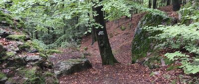 Jaskinia Ponurego [Zmiana przebiegu - kropka bliżej Jaskini, do tego momentu zbieżnie z niebieskim #WNSz]