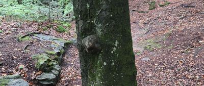 Jaskinia Ponurego [Zmiana przebiegu - kropka bliżej Jaskini, do tego momentu zbieżnie z niebieskim #WNSz]