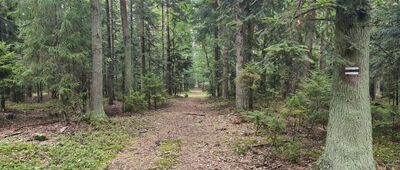 Rozejście szlaków ↔ Michniów, rozejście szlaków [Czarny Szlak z Michniowa]