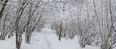 Przełęcz Beskid ↔ Rozejście szlaków