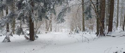 Rozejście szlaków