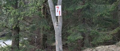 Rozdroże Izerskie ↔ Rozejście szlaków